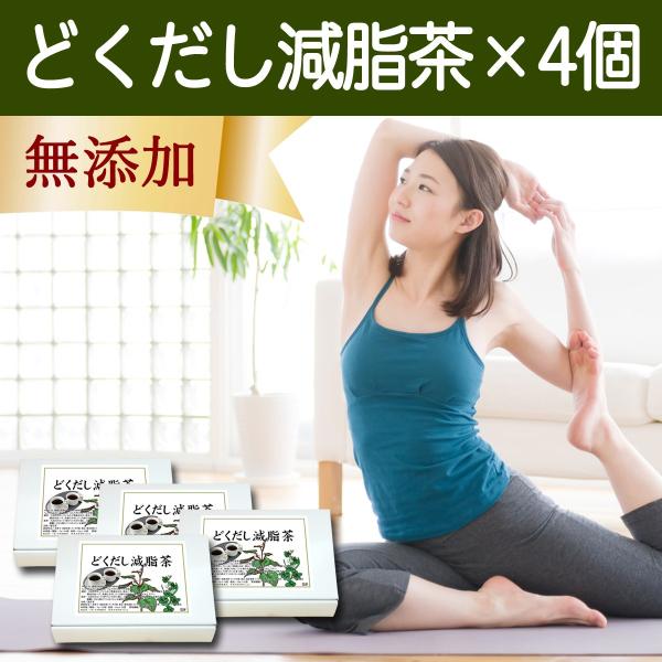 どくだし減脂茶 箱 各16パック 4個 プチ断食 ファスティング ダイエット茶 F050 青汁 健康粉末の健康生活研究所 通販 Yahoo ショッピング