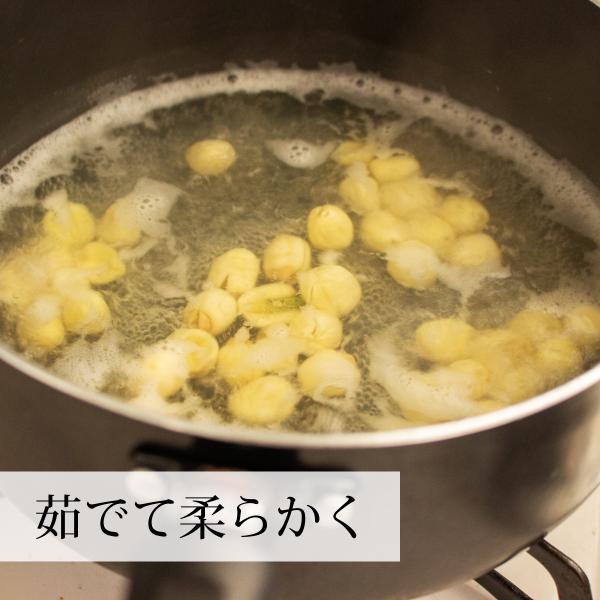 300g 12袋 ハスの実900g 4個 食品 ハス肉 薬膳茶の材料にも ハス肉 蓮の実 蓮肉 アルカロイド はすの実