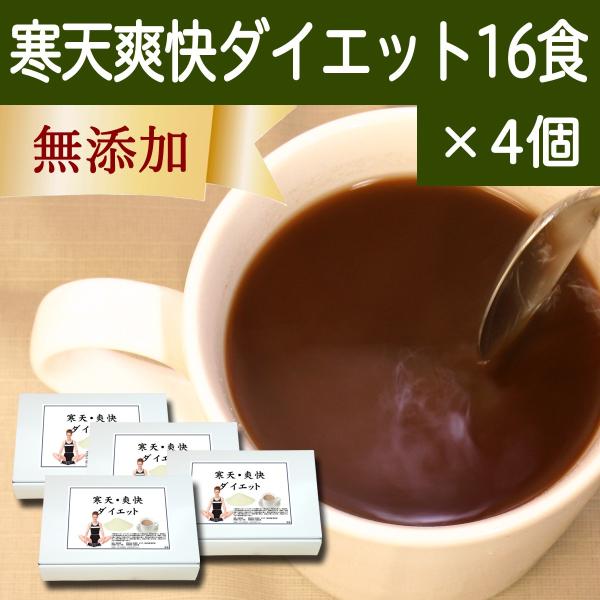 Vu_CGbg16H×4 V u_CGbg