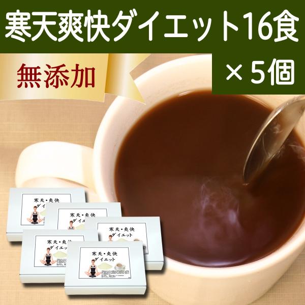 Vu_CGbg16H×5 V u_CGbg