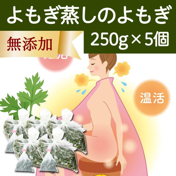 自宅 よもぎ蒸し ビューティー ヘルスの通販 価格比較 価格 Com