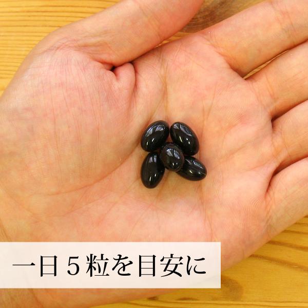 一日5粒を目安に
