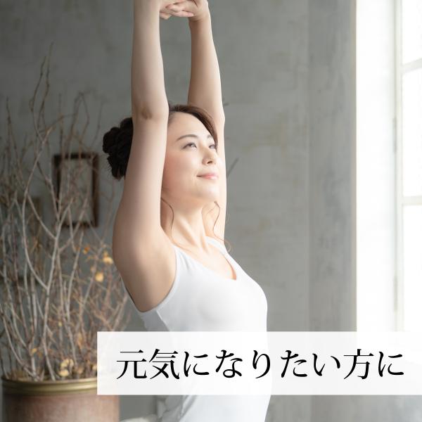 元気になりたい方に