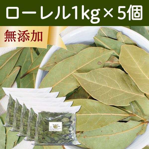 植木 盆栽 月桂樹 - 食品の人気商品・通販・価格比較 - 価格.com