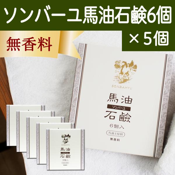 ソンバーユ馬油石鹸6個 5個 赤ちゃんでも使える 無香料 自然派ナチュラル石けん 固形ソープ 徳用 尊馬油 Fresnopianooutlet Com