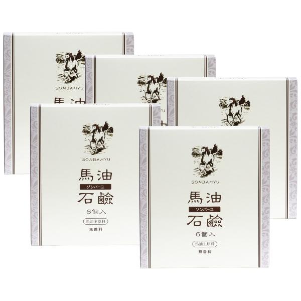ソンバーユ馬油石鹸6個 5個 赤ちゃんでも使える 無香料 自然派ナチュラル石けん 固形ソープ 徳用 尊馬油 Fresnopianooutlet Com