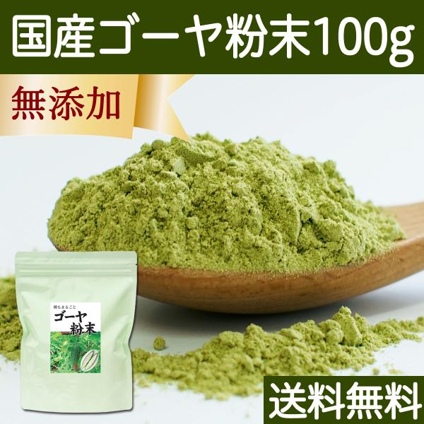 ゴーヤ粉末 100g ゴーヤ パウダー ゴーヤ茶 青汁 お試し 送料無料