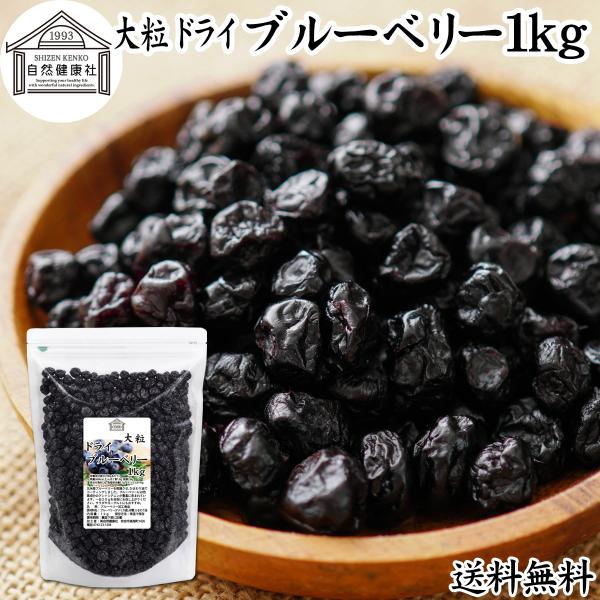 ブルーベリー 1kg 乾燥 ドライフルーツ 北米産
