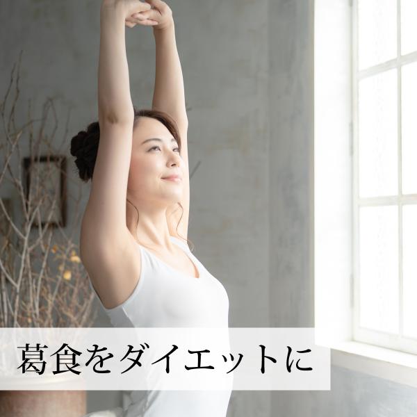 元気になりたい方に