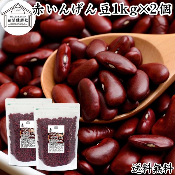 赤 いんげん豆 1kg×5個 金時豆 インゲン豆 レッドキドニー ビーンズ 送料無料