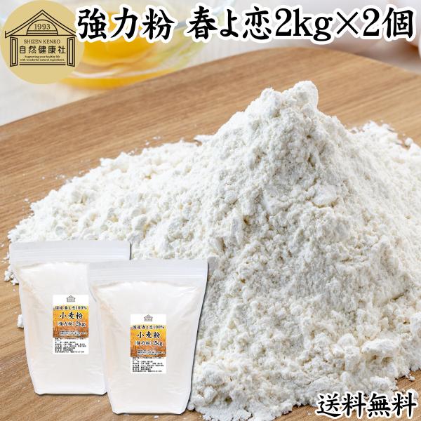 春よ恋 強力粉 2kg 小麦粉 国産 業務用 パン用 北海道産