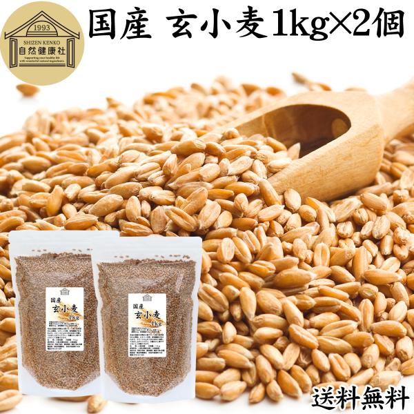 【品名】玄小麦（全粒小麦）【原材料】玄小麦（北海道産｜品種：きたほなみ）【内容量】１ｋｇ×２個（約６６日分。一日に３０ｇを使用した場合）■玄小麦について小麦は世界三大穀物の一つです未精白小麦から作る小麦粉は全粒粉と呼ばれ麩（ふすま）や胚乳、...