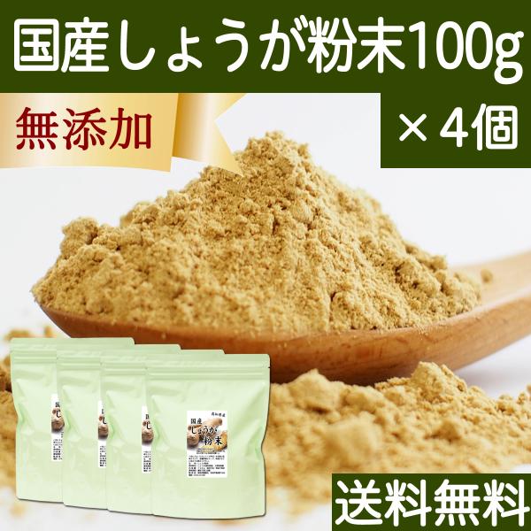 しょうが 粉末 100g 生姜 パウダー ショウガ 粉末 国産 送料無料