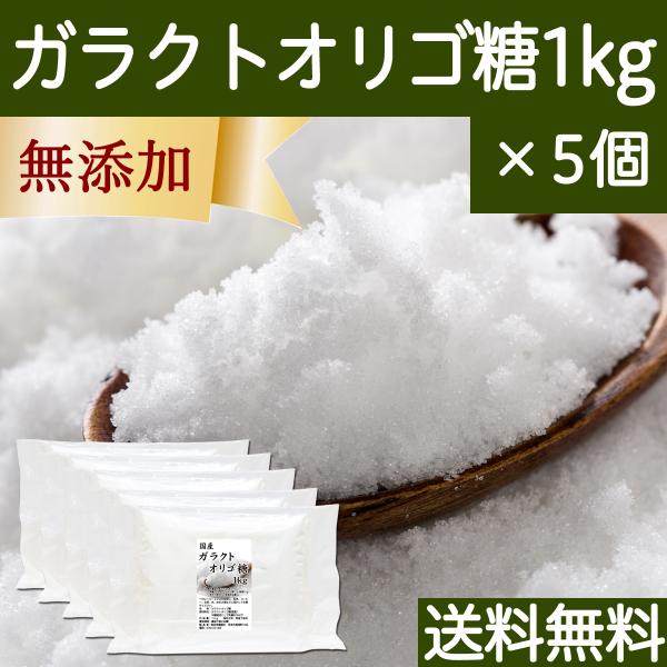 ガラクトオリゴ糖 1kg×5個 粉末 食品 原料 無添加 サプリ 送料無料