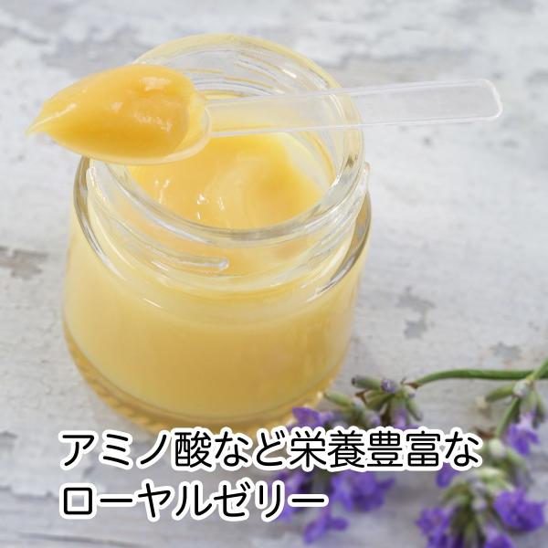 生ローヤルゼリー110g 5個 冷凍 サプリメント 無添加 ロイヤルゼリー 送料無料 Free Five144 青汁 健康粉末の健康生活研究所 通販 Yahoo ショッピング