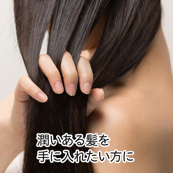 返品不可 馬麗 馬油シャンプー530ml 5個 馬の油 セラミド 弱酸性 アルニカ オドリコソウ ゴボウ マツ ローズマリー カミツレ 送料無料 超特価sale開催値下げ