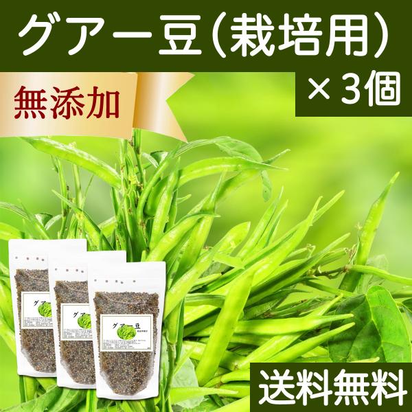 【原材料】グアー豆（栽培用種子）【内容量】４００ｇ×３個【商品説明】本品はグアー豆の栽培用種子です。グアー豆はインドやパキスタンで食用にされているエンドウマメの一種でカレーやサラダの具材に利用され、たんぱく質、食物繊維が豊富です。【使用方法...