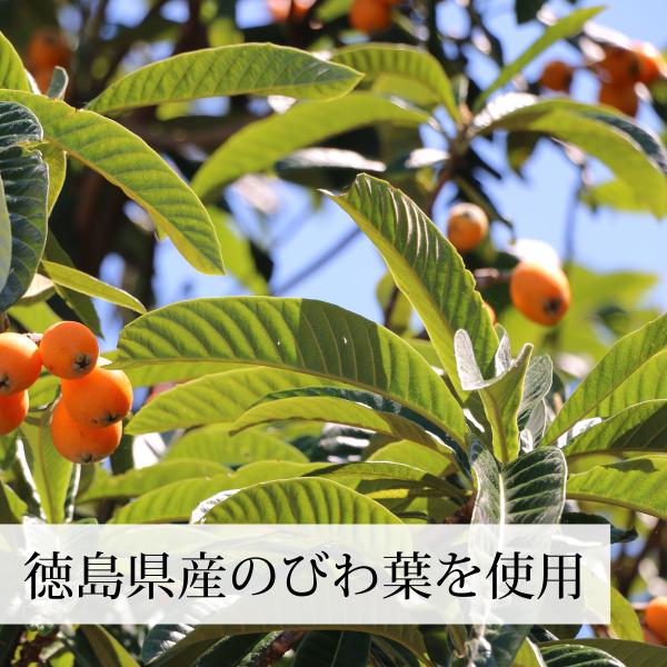 徳島県産の無農薬びわ葉を使用