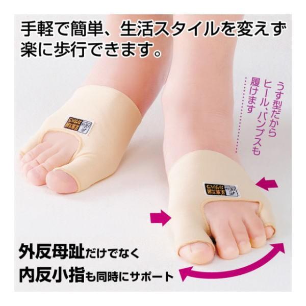 OEwT|[^[ O΍pi Op T|[^[ OT|[^[ wT|[^[ O w O΍