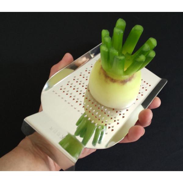 IBV ƒp낵 TCY 낵 Lb`c[ 낵  ł낵 낵  ̓