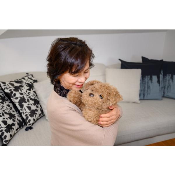 Ƃ肱_bL[ ʂ  ׂ邨 ׂʂ Vё l炵  ׂ  ׂ