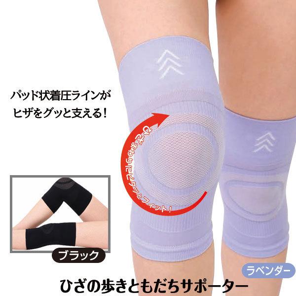 Ђ̕ƂT|[^[ Gp T|[^[ GT|[^[ ЂT|[^[ ЂpT|[^[ GpT|[^[  Ђp  bV s