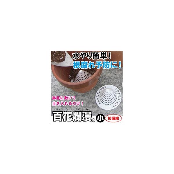 Sࣖ  10g Aؔ v^[  \h h~   󂯎M K[fjOpi | |pi