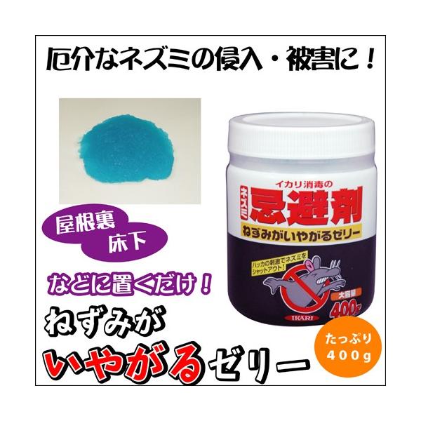 ˂݂₪[[ 400g×5Zbg lY~쏜  ˂ݑ΍ ˂݊ ˂ l ΍ V䗠  N ގ 