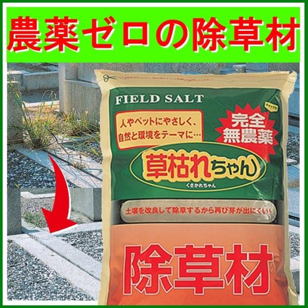  ͂ꂿ 5kg _pnp _򏜑  G G쏜 Gh~ G   쏜 Q n Ώ H V