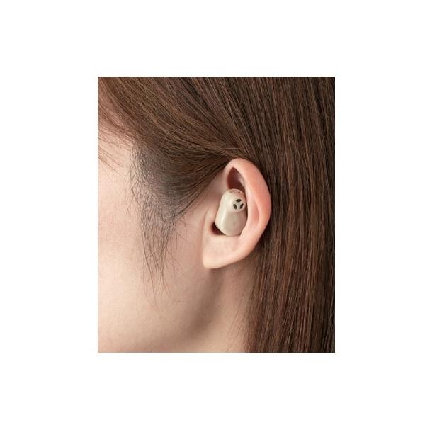 [d ۂW AKA-202 [dW [d y [dW@ W@  e hV̓ 蕨