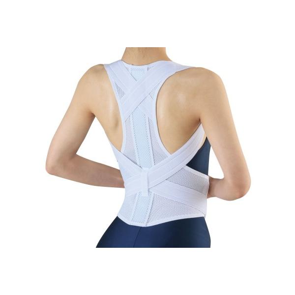 nw؃xg Lwxg jp n p w xg w؃xg ppxg pCi[ p