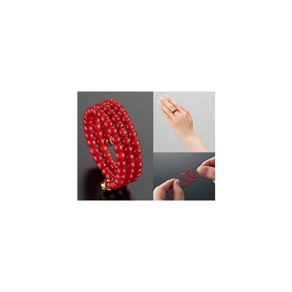 X3At[O w fB[XANZT[ O X XpCO ̓ 蕨