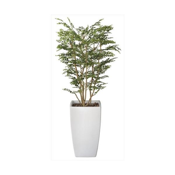 A[gS[fc[1.8m 114C900-19 lHϗt tFCNO[  ϗtA lH G} lHϗtA Vzj j