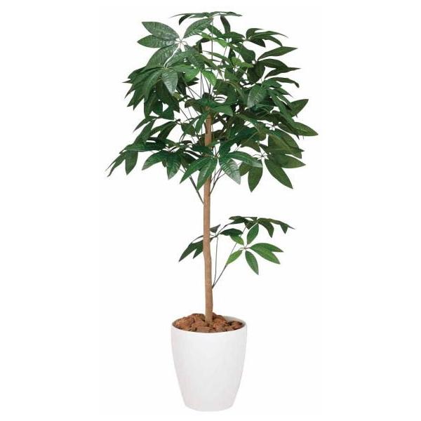 pLgsA[1.2m 193A180-40 lHϗt tFCNO[  ϗtA lH G} lHϗtA Vzj  zj