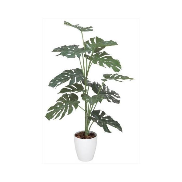 Xe1.2m 369C175-42 lHϗt tFCNO[  ϗtA lH G} Vzj JXj zj