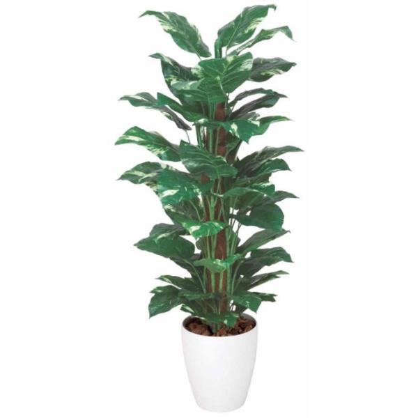 |gX1.2m 187B200-43 lHϗt tFCNO[  ϗtA lH G} lHϗtA Vzj JXj zj