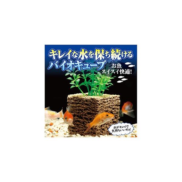 V oCIL[u 60g |pi pi Mы ANAEpi |   | |  (51I}P)