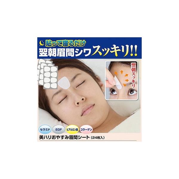 ₷ݔԃV[g 24×2Zbg pbN ԃV[g iCgp p  V ΍ V[g