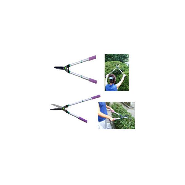 Lт銠荞EpP[Xt 荞݂΂ p nT~ |p͂ 荞  |  }  