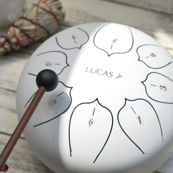 LUCAS ヒーリングドラム L 専用ケース付き ドラム タングドラム 楽器