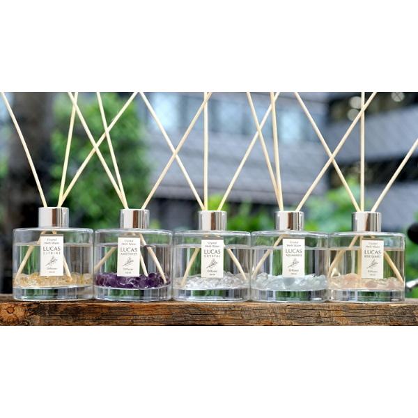 zCgZ[W 򉻃fBt[U[ LUCAS JX×3Zbg A}  VR p[Xg[ Z[W n[u  lC