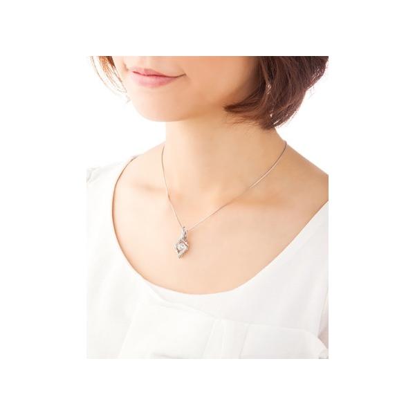 NXtH[j[[N _VOXg[ pbVy_g NYP-617 Crossfor NewYork 蕨