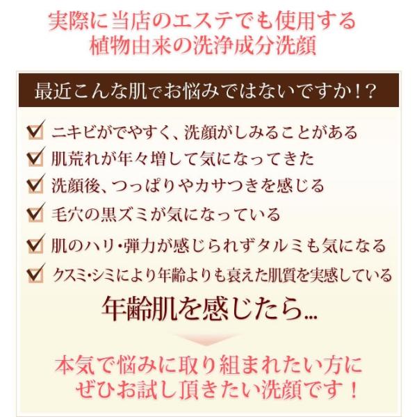 もっちもち泡 リルーナ フェイシャルウォッシュ洗顔料 洗顔フォーム パラベンフリー ノンシリコン シリコンフリー 低刺激性 植物由来 アミノ酸系洗浄成分 Buyee Buyee 提供一站式最全面最專業現地yahoo Japan拍賣代bid代拍代購服務 Bot Online