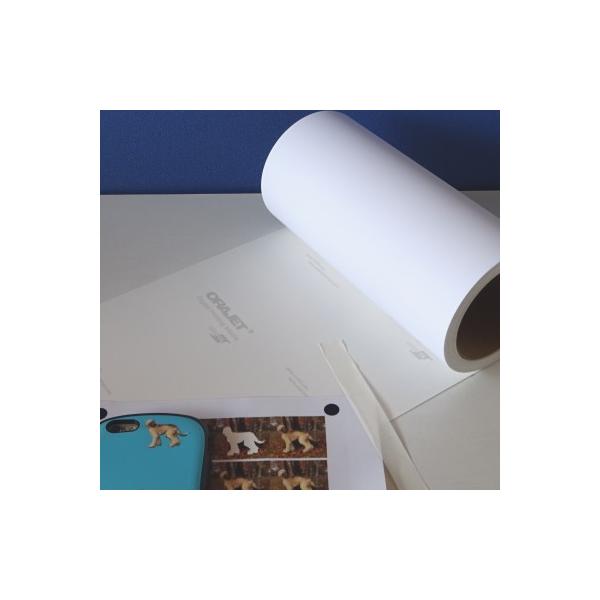 yzCNWFbgΉ}bgV[vgpR[gQPcm×Xi痿Epj