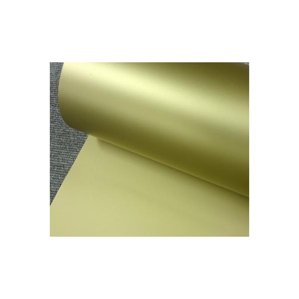 S[h o[vgV[g22cm×63cm VGbg|[g[gp