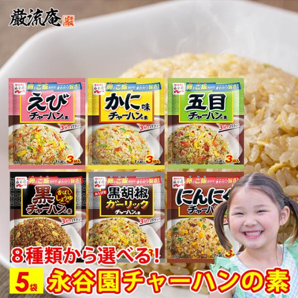 ポイント消化 チャーハンの素 炒飯の素 永谷園 エビチャーハン カニチャーハン 五目チャーハン 黒チャーハン  ポイント利用 お試し商品 サンプル