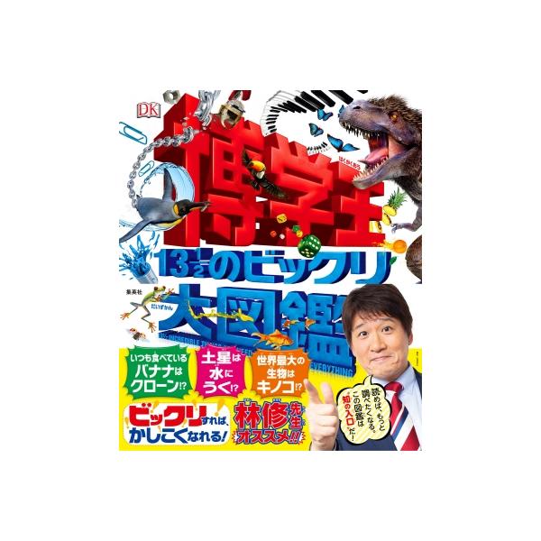 ���w�� 13�@1 / 2�̃r�b�N����}�� / DK��  �k�}�Ӂl ���i�摜