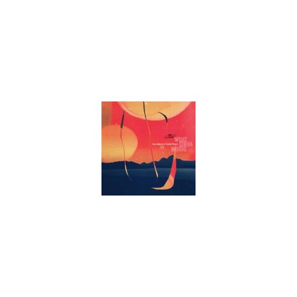 Tom Misch / Yussef Dayes What Kinda Music (2枚組アナログレコード