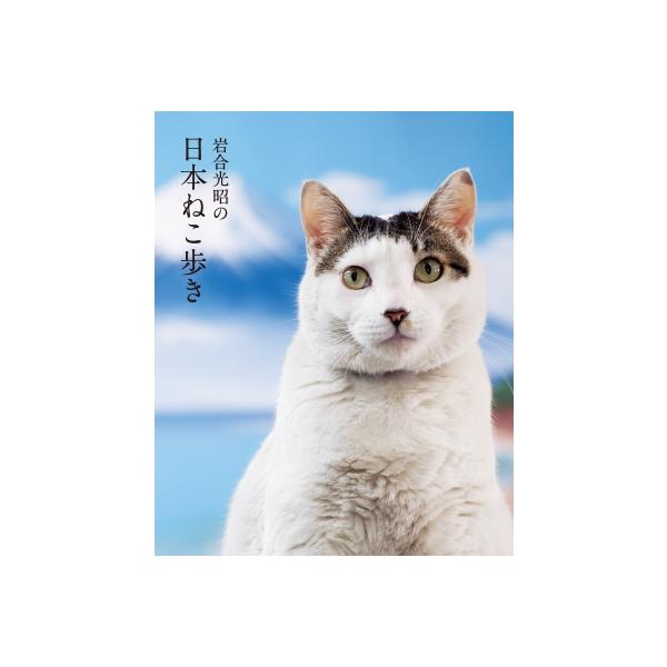 発売日:2022年08月 / ジャンル:アート・エンタメ / フォーマット:本 / 出版社:クレヴィス / 発売国:日本 / ISBN:9784909532848 / アーティストキーワード:岩合光昭  / タイトルキーワード:猫 ねこ ネ...