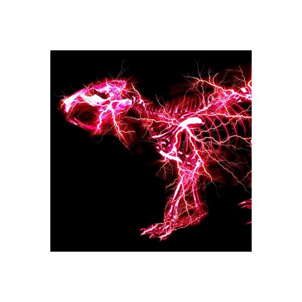 発売日:2023年04月19日 / ジャンル:ジャパニーズポップス / フォーマット:CD Maxi / 組み枚数:1 / レーベル:ソニーミュージックエンタテインメント / 発売国:日本 / 商品番号:SRCL-12469 / その他:通...